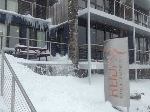 Snowstay At Heidis - Hotel NSW 0