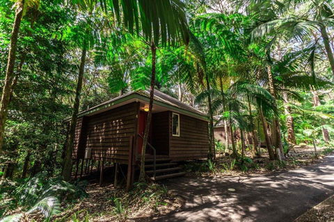 Songbirds Rainforest Retreat - Hotel NSW 2