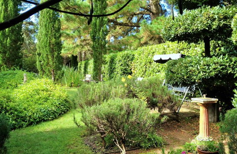 Southdown Cottage - Hotel NSW 1