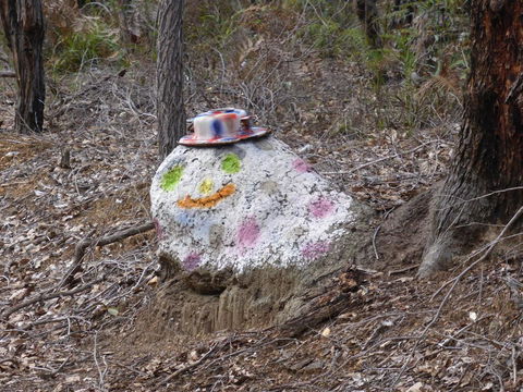 Splendid Wren Cottage - Hotel NSW 3