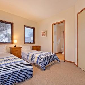 Square Bear-DPA - Hotel NSW 3