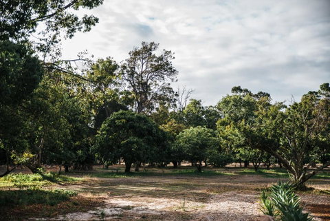 Standing Stone House - Hotel NSW 3
