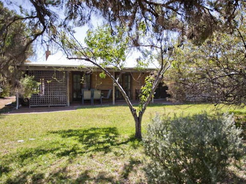 Tea Tree - Hotel NSW 1