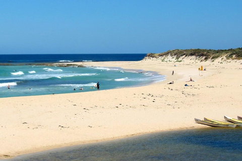 Tea Tree - Hotel NSW 2