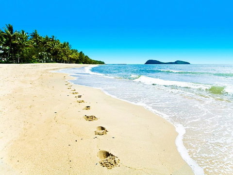Temple 121 Modern Spacious Palm Cove 2 Brm 2 Bth Resort Apartment With Courtyard - Hotel NSW 0