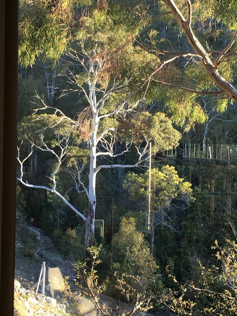 The Lookout - Hotel NSW 22