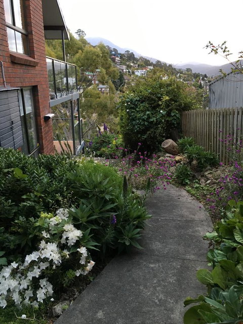 The Lookout - Hotel NSW 23