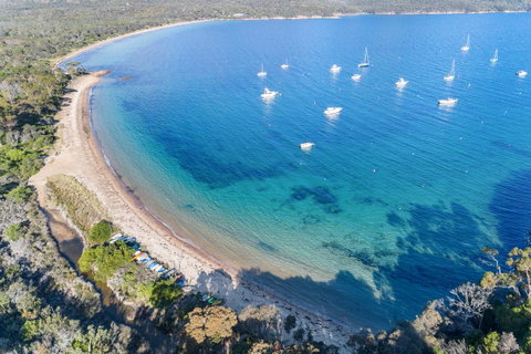 Freycinet Haven - Hotel NSW 1