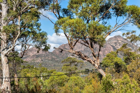 Freycinet Haven - Hotel NSW 4