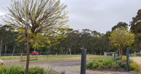 Book Lebrina Accommodation Vacations Hotel NSW Hotel NSW