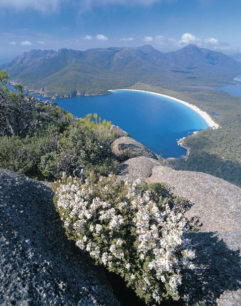 Freycinet Lodge - Hotel NSW 41