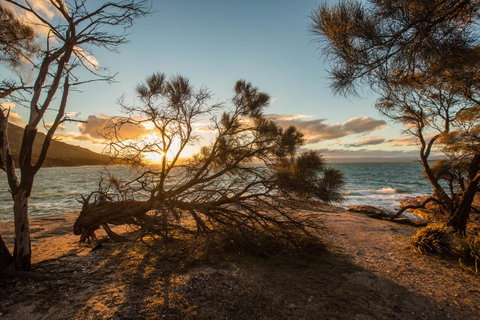 Freycinet Lodge - Hotel NSW 44