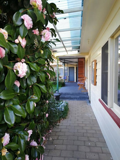 Wintersun Gardens Motel - Hotel NSW 5