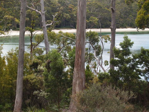 Stewarts Bay Lodge - Hotel NSW 23