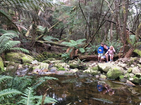 Derby Forest Cabins - Hotel NSW 17