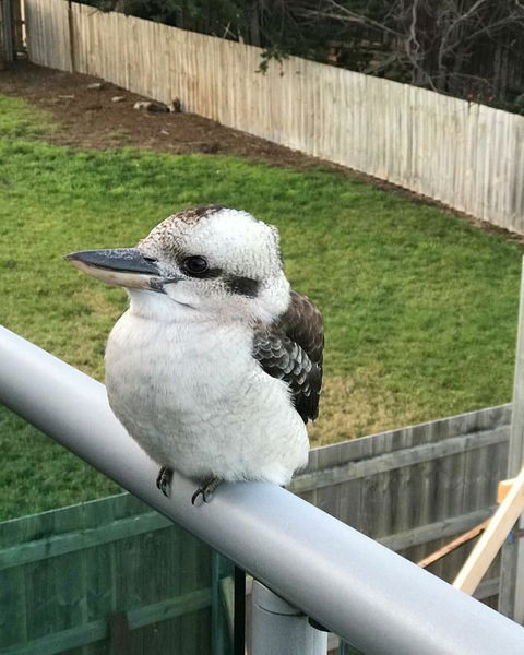 Seas The Day - Seaside Getaway - Hotel NSW 11