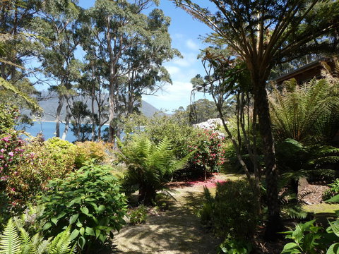 Osprey Lodge & Bungalow - Hotel NSW 6
