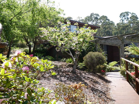 Osprey Lodge & Bungalow - Hotel NSW 20