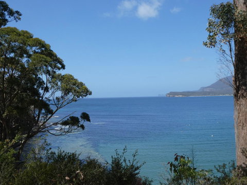 Osprey Lodge & Bungalow - Hotel NSW 3