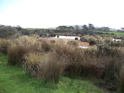 Cloudy Bay Beach House - Hotel NSW 24