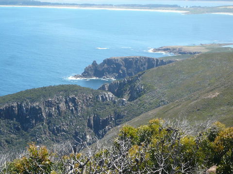 Cloudy Bay Beach House - Hotel NSW 26