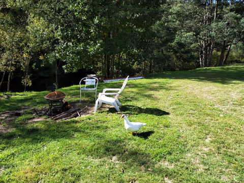 Wanderlust Cottage - Hotel NSW 18