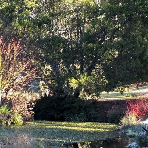 MaraPonds - Hotel NSW 9