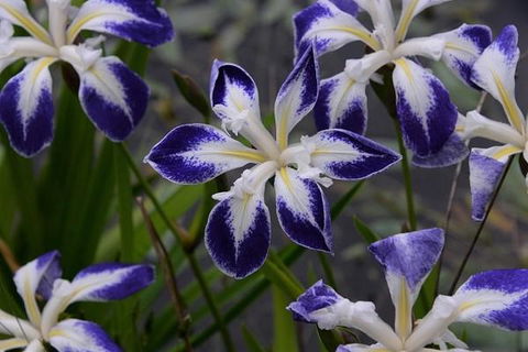 MaraPonds - Hotel NSW 13