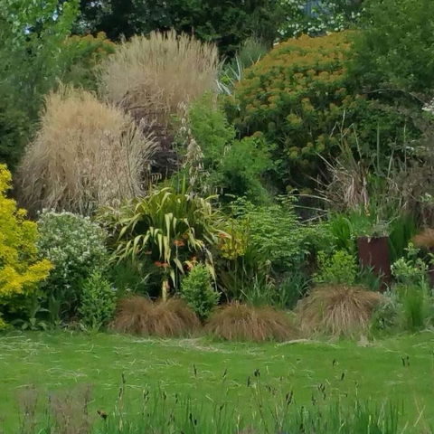 MaraPonds - Hotel NSW 12