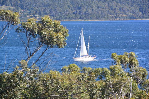 The Tree House - Hotel NSW 5