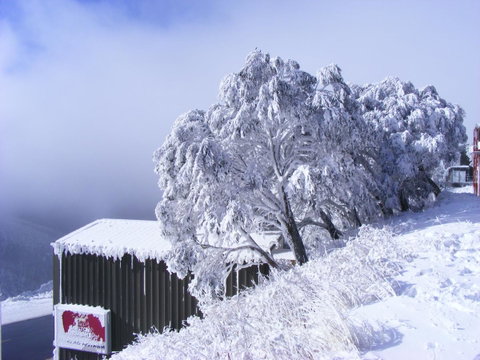 Arlberg Hotham - Hotel NSW 15
