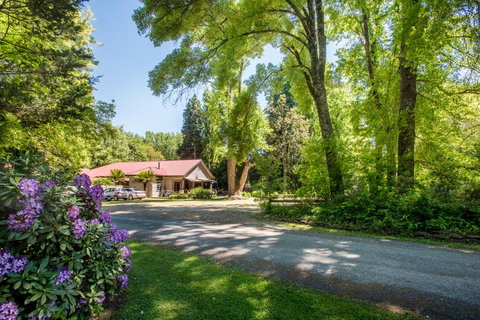 Avalon House - Hotel NSW 0