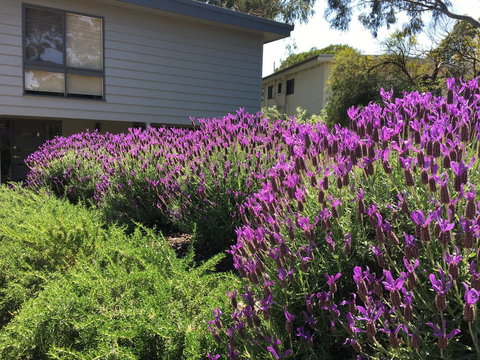 Kookas Retreat - Hotel NSW 14