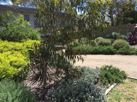 Kookas Retreat - Hotel NSW 13