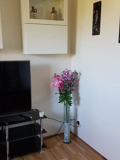 Romsey Homestay - Hotel NSW 8