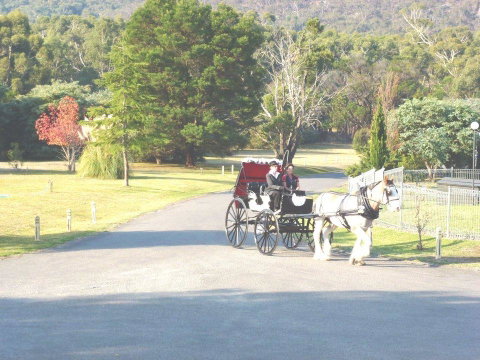 The Grampians Motel - Hotel NSW 24