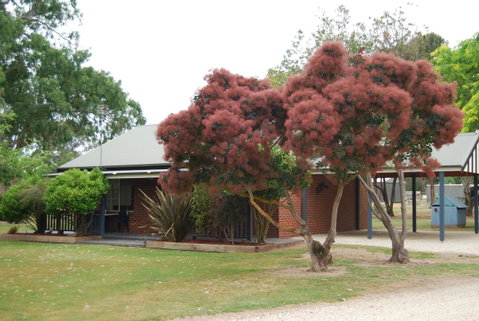 Greenvale Holiday Units - Hotel NSW 9