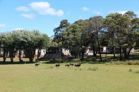 Halls Gap Lakeside Tourist Park - Hotel NSW 1