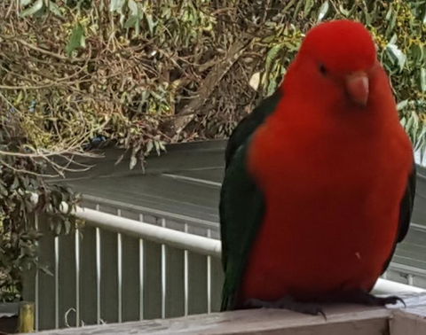 Wilsons Promontory Motel - Hotel NSW 23