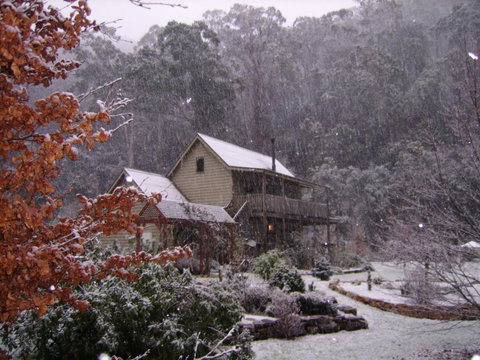 Shady Brook Cottages - Hotel NSW 24