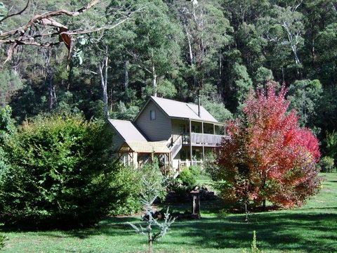 Shady Brook Cottages - Hotel NSW 7