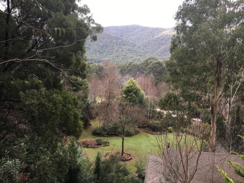 Shady Brook Cottages - Hotel NSW 18