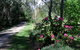 Shady Brook Cottages - thumb 15