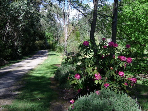 Shady Brook Cottages - Hotel NSW 15