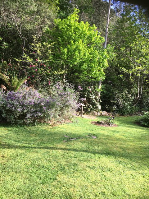 Shady Brook Cottages - Hotel NSW 6