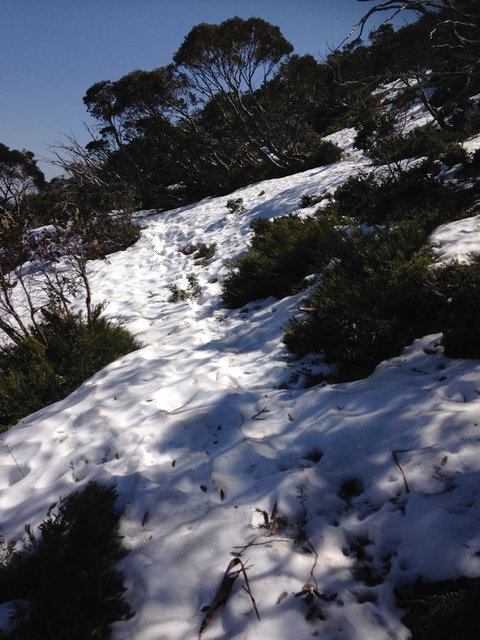 Shady Brook Cottages - Hotel NSW 11