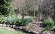 Shady Brook Cottages - thumb 8