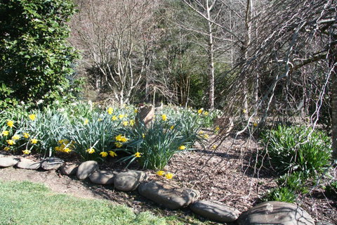 Shady Brook Cottages - Hotel NSW 8