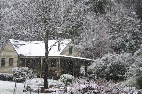 Shady Brook Cottages - Hotel NSW 30
