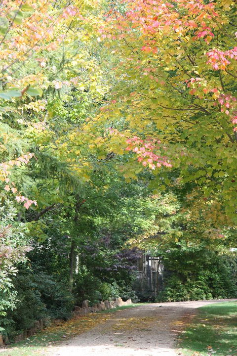Shady Brook Cottages - Hotel NSW 14